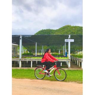 Quality Time Farmstay: Bamboo House - Ban Pa Lau - 5
