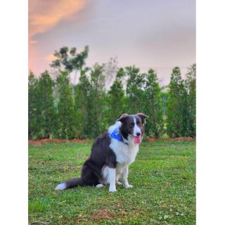 Quality Time Farmstay: Bamboo House - 1