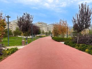 Elegant 1BR apartment with City Mall & Park access - 7