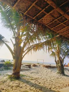 Havana Beach villa - Alleppey - 9
