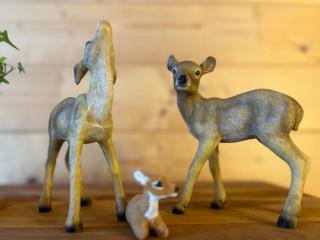 Chalet - Appartementhaus Alma - 2