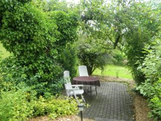 Large detached holiday home in Hesse with private garden and terrace - Homberg - 0