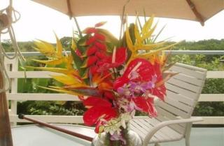 Hale-Hoola B & B - Captain Cook - 5