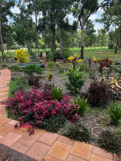 Litchfield Tropical Stay - Batchelor - 4