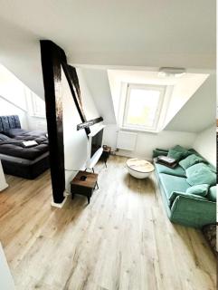 Altbauloft, frisch saniert, mitten in Hameln - Hameln - 0