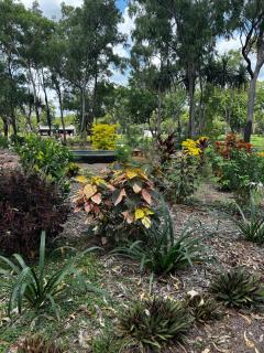 Litchfield Tropical Stay - Batchelor - 8