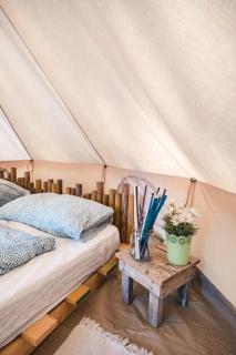 Pigna Felice Le Marze - 1