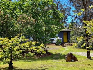 The Yellow Koala - Vibrant Home in Medlow Bath - Medlow Bath - 6