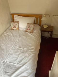 Lovely peaceful 2 bed cottage - Llandderfel - 5
