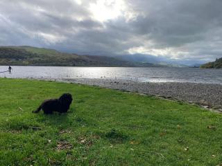 Lovely peaceful 2 bed cottage - 4