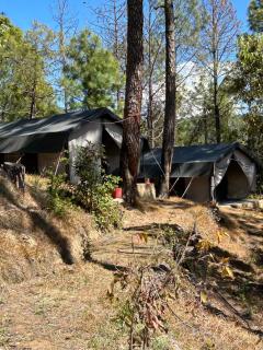 Glampinn Woods - Nainital - 9