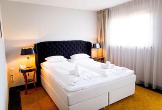 Pałac na Wodzie Hotel & SPA - Jelenia Góra - 5