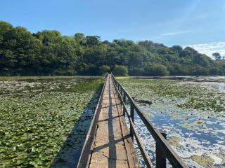 3 Bed in Cosheston 90731 - Cosheston - 5