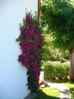 Villetta Cinquale Versilia - 4