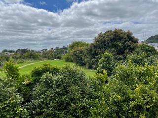 Rooms in an Epsom House - Auckland - 3