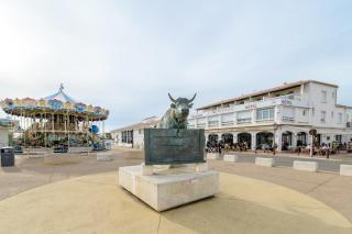 Abrivado - Saintes-Maries-de-la-Mer - 0