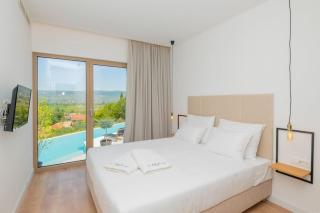 Luxury Villa Blue with a pool - Zmijavci - 9