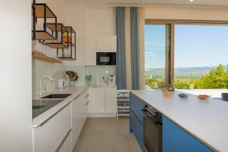 Luxury Villa Blue with a pool - Zmijavci - 3