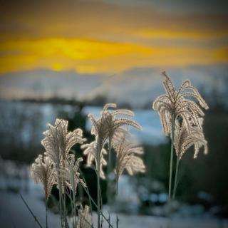 Chalupa Na konci Pekla - 8