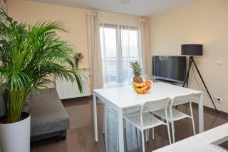 Apartament Słoneczny 8 - Opole - 2