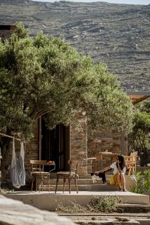 Avdos' olive house - land tales - 5