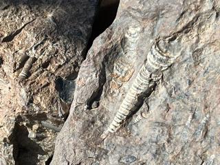 Titanic hôtel restaurant & désert excursions lac irik - 4