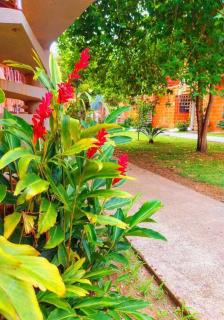 Conforto e Lazer pertinho da praia Só atravessar a avenida - 9