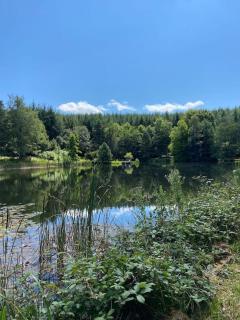 Les Brizards, L'Auberge - Morvan (8 personnes) - Quarré-les-Tombes - 9