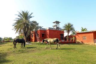 Boheda Villa, Udaipur - Udaipur - 9