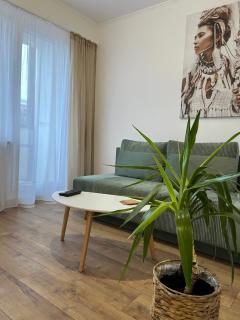 Apartament Rubinowy - Toruń - 9
