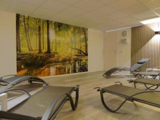 Mountain Suite Winterberg Ferienwohnung Pool Sauna Hund 4 Pers Wifi near Ski Lift - Winterberg - 6