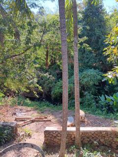 Ninetynine country house - Doi Saket - 1