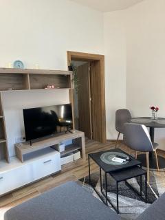 Apartmani M.&.B Luks - Mataruška Banja - 6