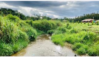 Lakeview guest house and Estate - Mudigere - 8
