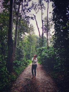 Lakeview guest house and Estate - Mudigere - 7