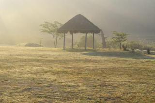 Lakeview guest house and Estate - Mudigere - 4