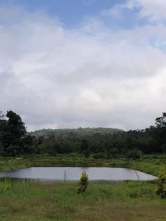 Lakeview guest house and Estate - Mudigere - 1