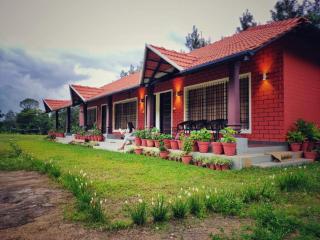 Lakeview guest house and Estate - Mudigere - 0