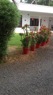 DREAM HOMESTAY - Alappuzha - 1
