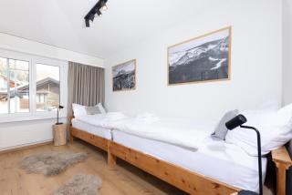 Modern crossing apartment facing Piz Rosatsch - 3