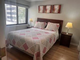 Isabel Suites Vitacura - Santiago - 6