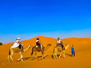 royal sunrise camp - Merzouga - 9