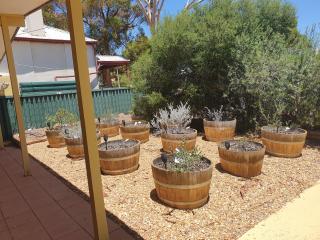 Flinders Ranges Bed and Breakfast - Hawker - 1