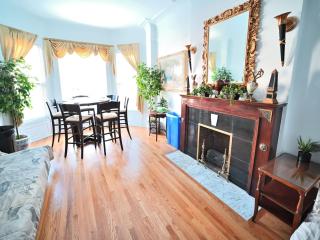 Stone Mansion Sleeps 10-20 Free TV & Parking - Chicago - 7