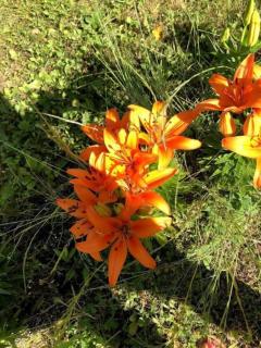 Mountain Views #578 - 7