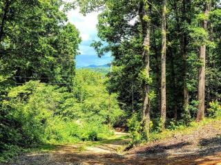 Smoky Mountain Views Cabins - Whittier - 9