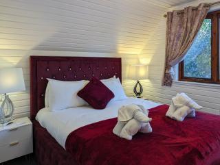 Ceridwen 6 - Hot Tub-Luxury-Pets-Perthshire-Romantic-Dundee - Perth - 6