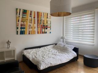 Appartement Hyper Centre Place Kléber 66 m2 - Estrasburgo - 3
