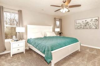 Quietly nestled home among the Nook - Hamilton - 6