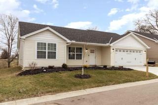 Quietly nestled home among the Nook - Hamilton - 4